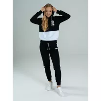 LISA