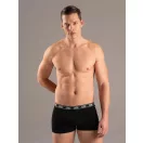 CREED - Boxer CREED - Boxer