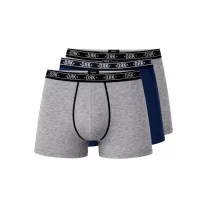 CREED - Boxer