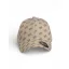 ARCHER BASEBALL CAP