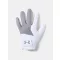 Medal Golf Glove
