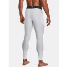 HG Armour Leggings