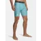 UA HG Armour Shorts