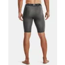HG Armour Lng Shorts HG Armour Lng Shorts
