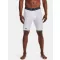 HG Armour Lng Shorts