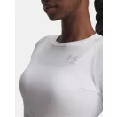 UA HG Authentics Comp LS