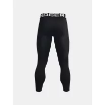 CG Armour Leggings