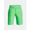 UA Woven Graphic Shorts