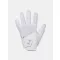 UA Women IsoChill Golf Glove