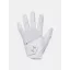 UA Women IsoChill Golf Glove