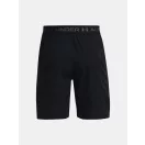 UA Vanish Woven 8in Shorts UA Vanish Woven 8in Shorts