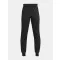 UA Armour Fleece Joggers