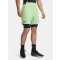 UA Vanish Woven 6in Shorts