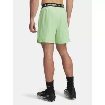 UA Vanish Woven 6in Shorts