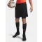 UA Vanish Woven 2in1 Sts-BLK