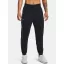 UA Train CW Pant