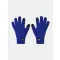 UA Halftime Wool Glove