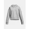 UA Rival Fleece Crop Hoodie