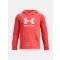 UA Rival Fleece BL Hoodie