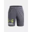 UA Tech Logo Shorts