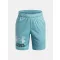 UA Tech Logo Shorts