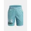 UA Tech Logo Shorts