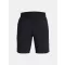 UA Woven Wdmk Shorts