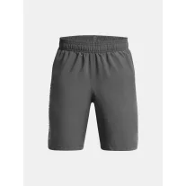 UA Woven Wdmk Shorts