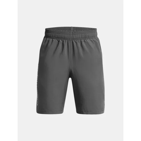 UA Woven Wdmk Shorts UA Woven Wdmk Shorts