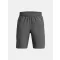 UA Woven Wdmk Shorts