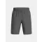 UA Tech Woven Wordmark Short