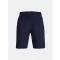UA Woven Wdmk Shorts