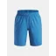 UA Tech Woven Wordmark Short