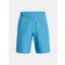 UA Tech Woven Wordmark Short
