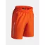 UA Tech Woven Wordmark Short-ORG