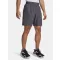 UA Woven Wdmk Shorts