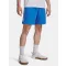 UA Tech Woven Wordmark Short-BLU