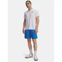UA Tech Woven Wordmark Short-BLU