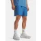 UA Tech Woven Wordmark Short