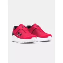 UA BINF Surge 4 AC