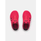UA BINF Surge 4 AC UA BINF Surge 4 AC