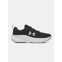 UA BGS Assert 11