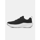 UA BGS Assert 11