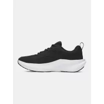 UA BGS Assert 11
