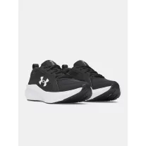 UA BGS Assert 11
