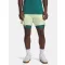 UA Vanish Elite 6in Short