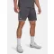 UA M Challenger Train Short