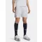 UA M Challenger Train Short