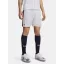UA M Challenger Train Short