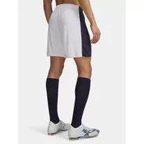 UA M Challenger Train Short